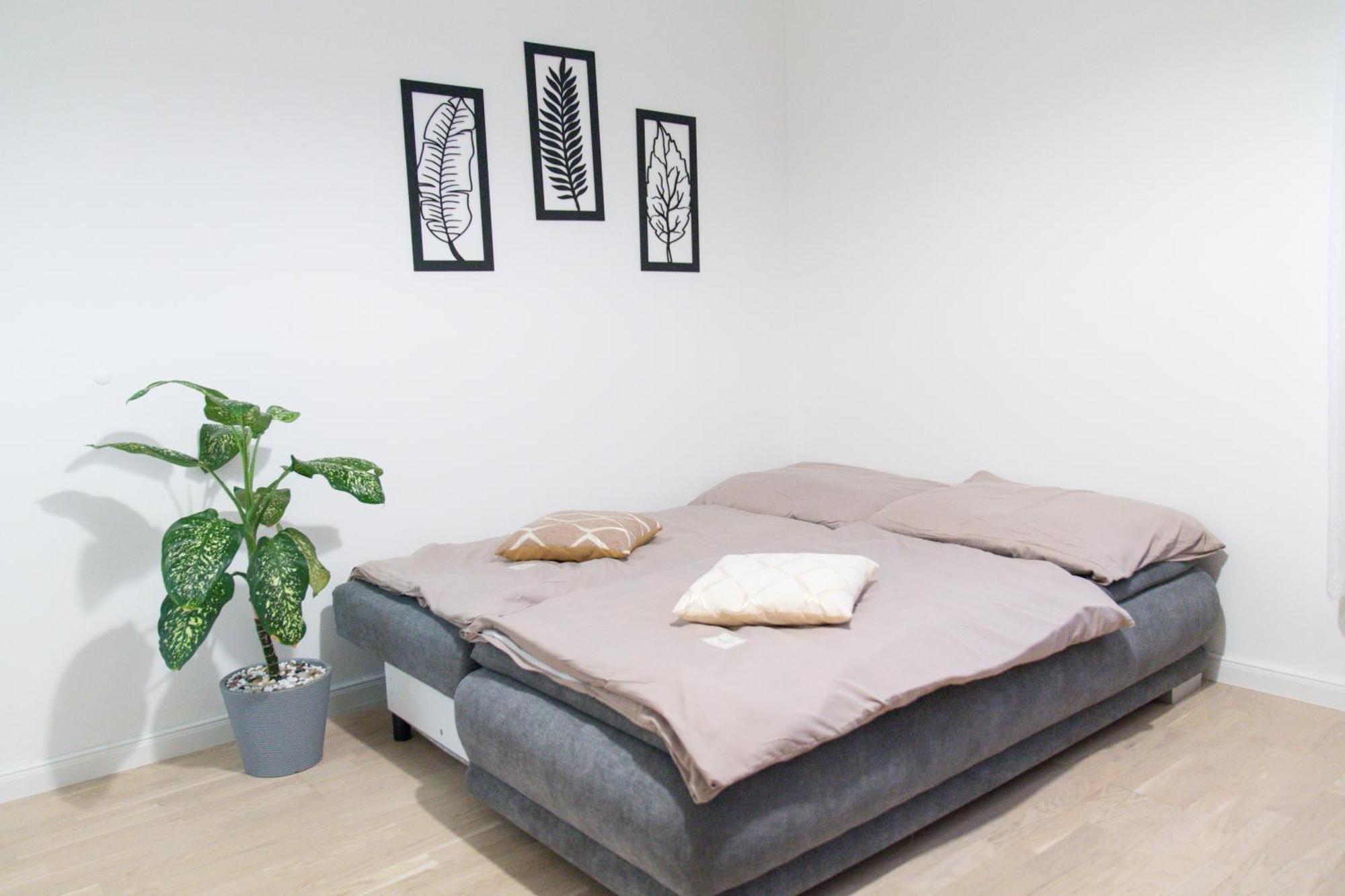 Spacious In Wenceslas Square Apartment Prague