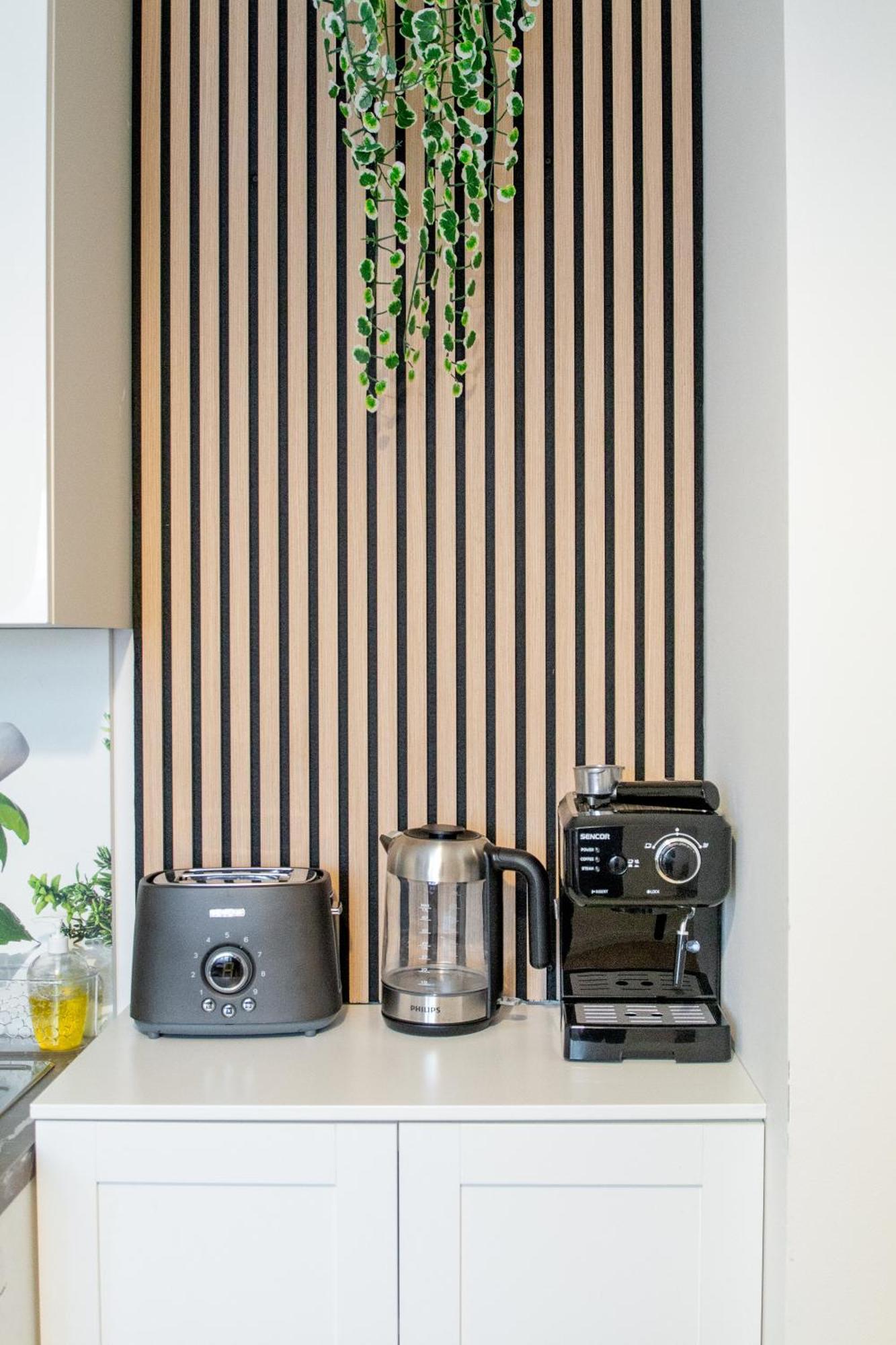 Spacious In Wenceslas Square Apartment