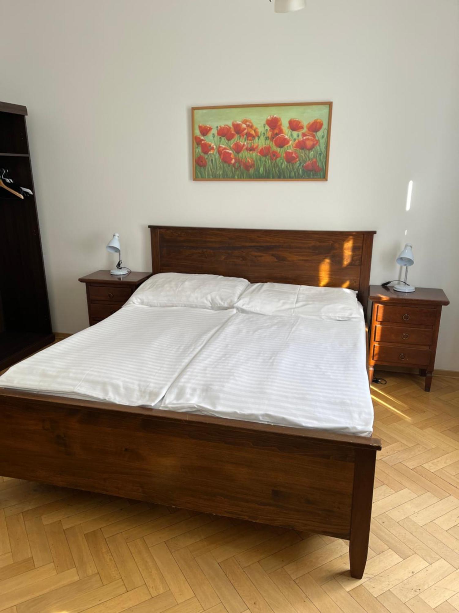 U Vejvodu Appartement *