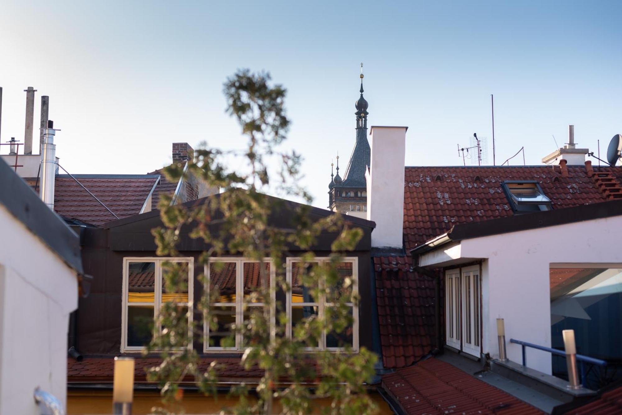 Spacious Near National Museum * Prague