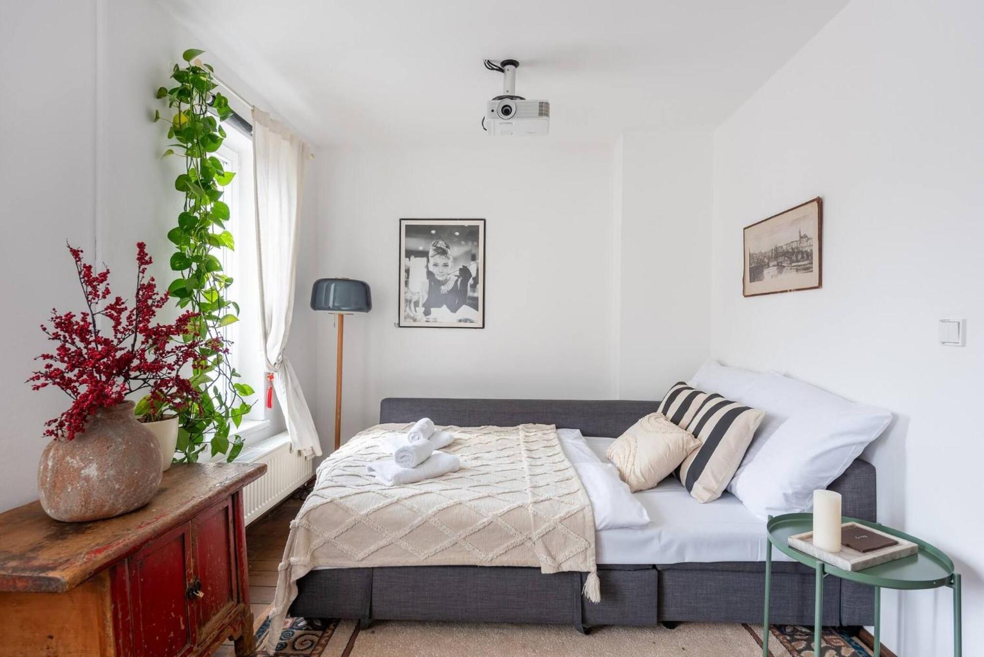 Charming In Vrsovice With Roof Terrace