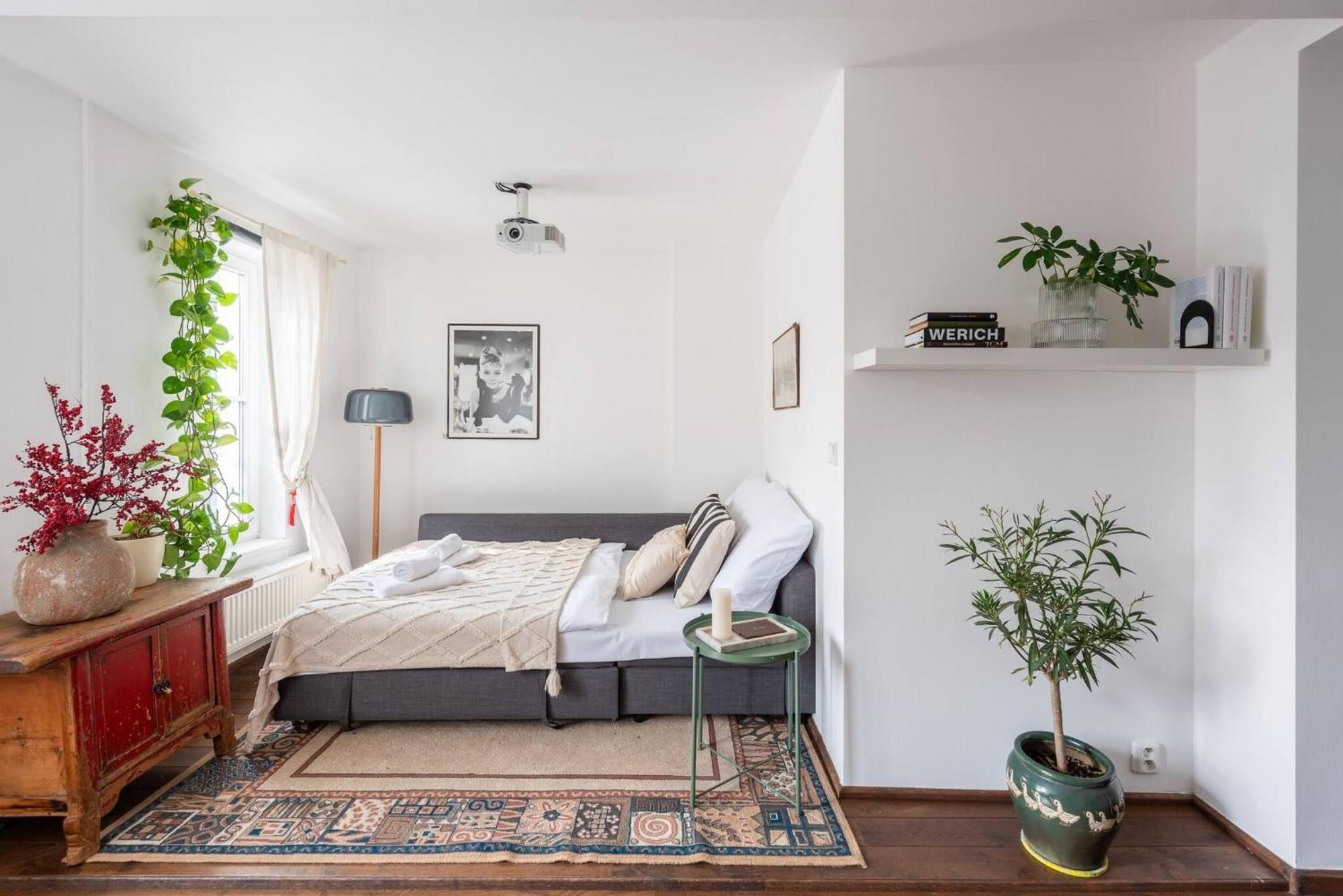 Apartment Charming In Vrsovice With Roof Terrace Prague