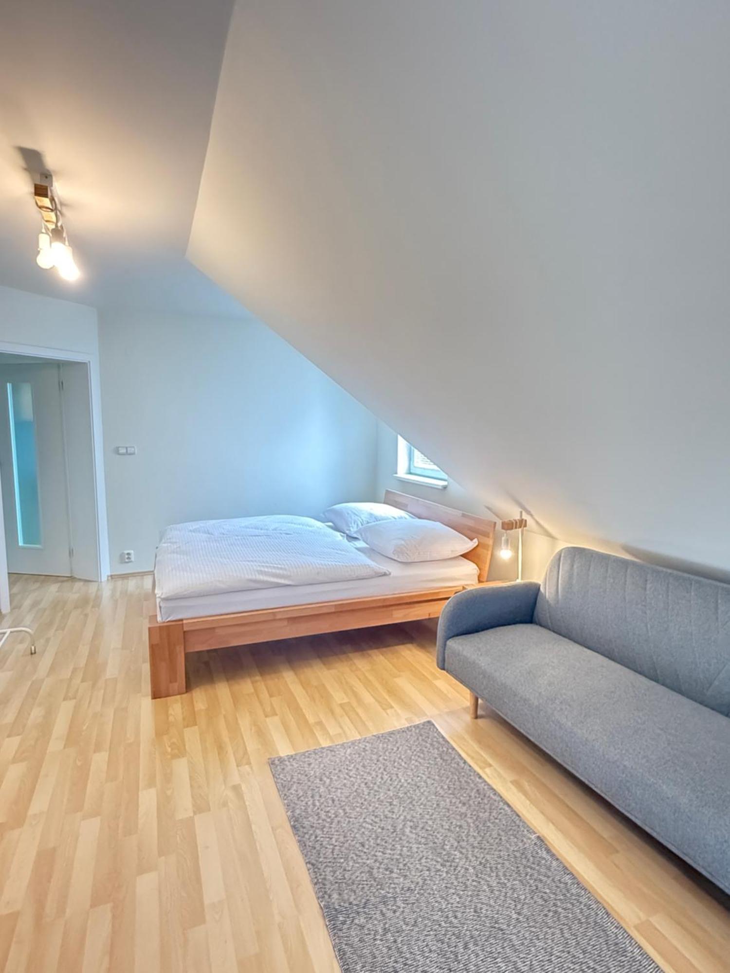 Diamondvilla, 4 Bedroom Apartment, Garden & * Praga