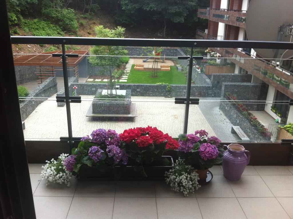 V Mezihori Appartement *