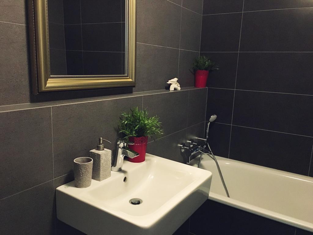 Appartement V Mezihori