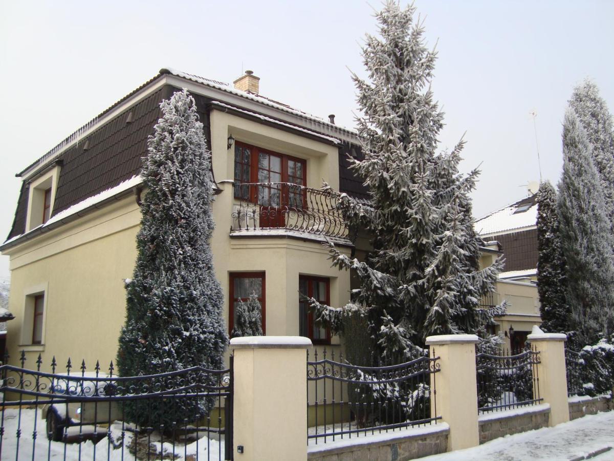 Olivia Guest house